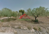 Finca rústica en venta en la España, Vinaròs, ref: TR104398 foto