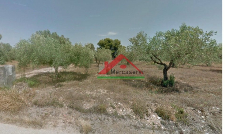 Castellón - Vinaroz - 5128m2