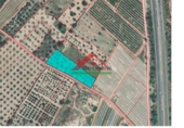 Finca rústica en venta en la España, Vinaròs, ref: TR104398 foto