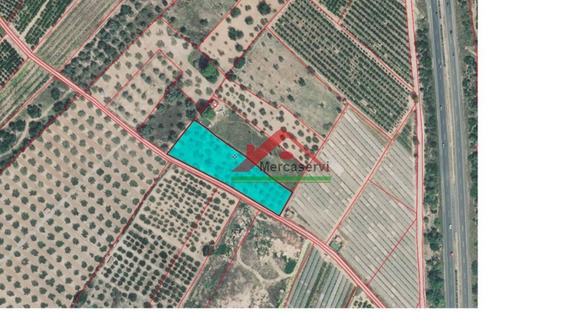 Castellón - Vinaroz - 5128m2