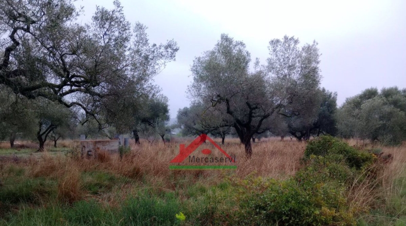 Castellón - Vinaroz - 5128m2