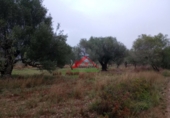 Finca rústica en venta en la España, Vinaròs, ref: TR104398 foto