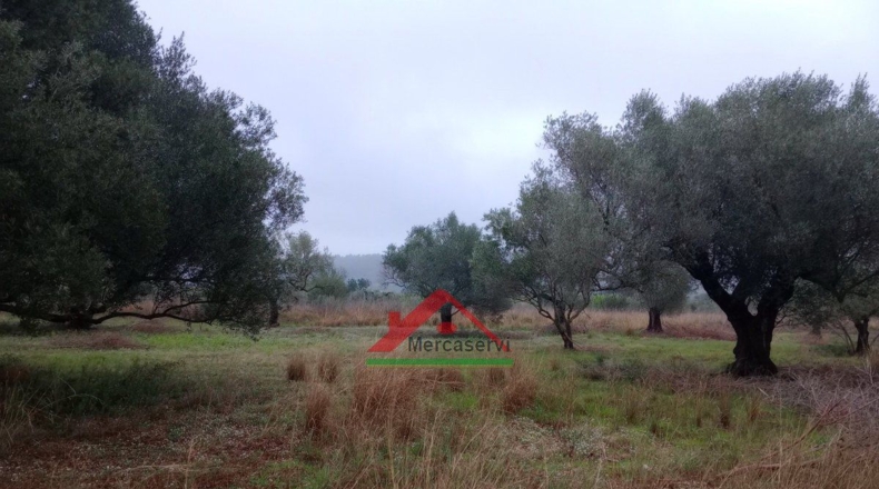 Castellón - Vinaroz - 5128m2