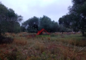 Finca rústica en venta en la España, Vinaròs, ref: TR104398 foto