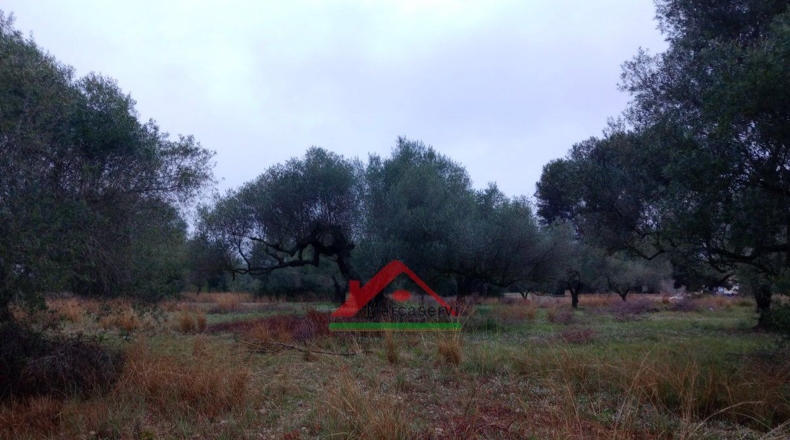 Castellón - Vinaroz - 5128m2