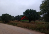 Finca rústica en venta en la España, Vinaròs, ref: TR104398 foto