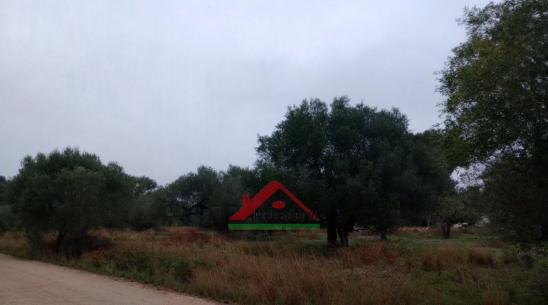Castellón - Vinaroz - 5128m2