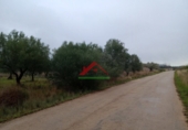 Finca rústica en venta en la España, Vinaròs, ref: TR104398 foto