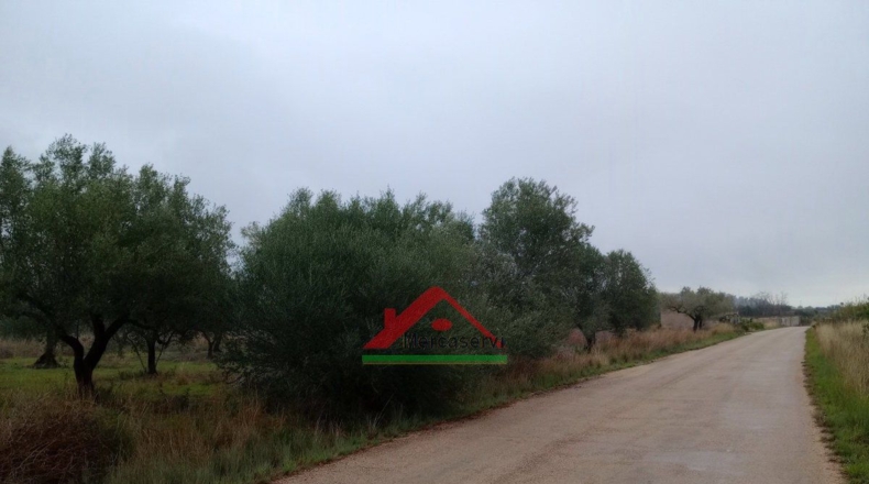 Castellón - Vinaroz - 5128m2
