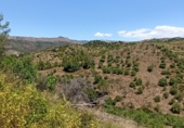 Finca rústica en venta en la España, Gratallops, ref: TR413662 foto