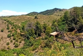 Gratallops 43337&nbsp;m²