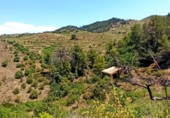Finca rústica en venta en la España, Gratallops, ref: TR413662 foto