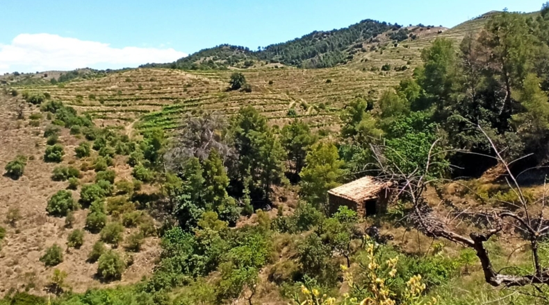 Tarragona - Gratallops - 43337m2