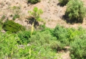 Finca rústica en venta en la España, Gratallops, ref: TR413662 foto