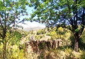 Finca rústica en venta en la España, Gratallops, ref: TR413662 foto