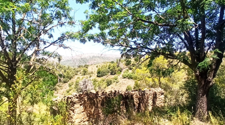 Tarragona - Gratallops - 43337m2