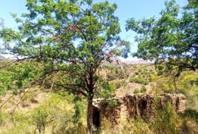 Gratallops 43337&nbsp;m²