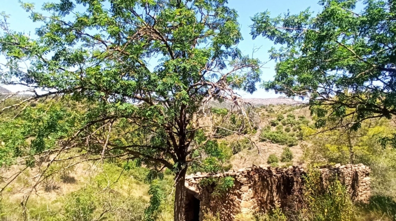 Tarragona - Gratallops - 43337m2