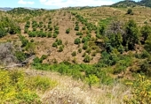 Finca rústica en venta en la España, Gratallops, ref: TR413662 foto