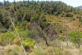 Gratallops 43337&nbsp;m²