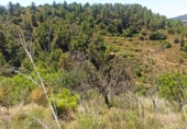 Finca rústica en venta en la España, Gratallops, ref: TR413662 foto