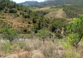 Finca rústica en venta en la España, Gratallops, ref: TR413662 foto