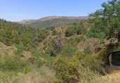 Finca rústica en venta en la España, Gratallops, ref: TR413662 foto