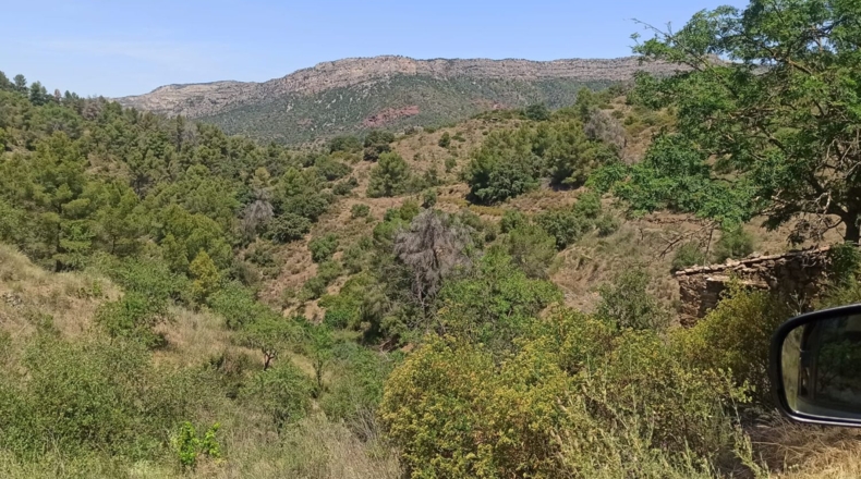 Tarragona - Gratallops - 43337m2