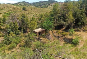 Gratallops 43337&nbsp;m²