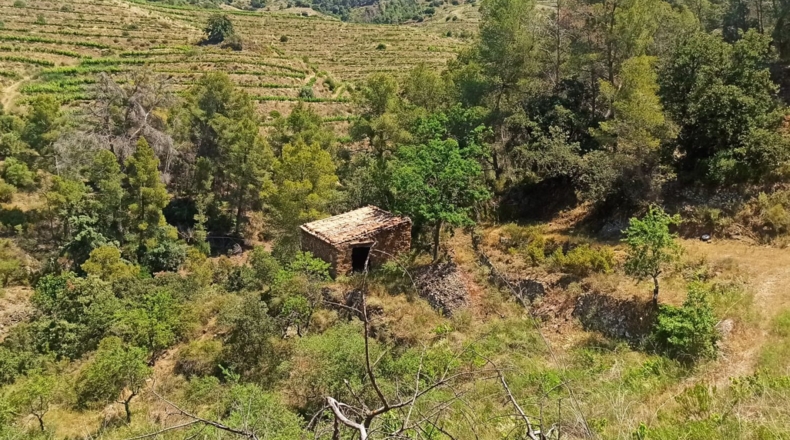 Tarragona - Gratallops - 43337m2