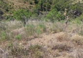 Finca rústica en venta en la España, Gratallops, ref: TR413662 foto