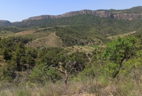 Gratallops 43337&nbsp;m²