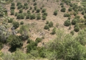 Finca rústica en venta en la España, Gratallops, ref: TR413662 foto