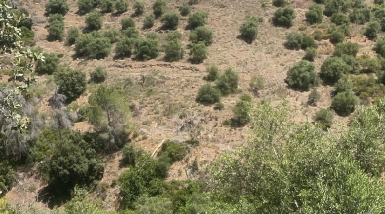 Tarragona - Gratallops - 43337m2