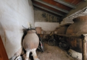 Village house for sale in Sisante ref: TR413669 photo