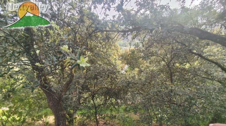 Granada - Dílar - 3420m2