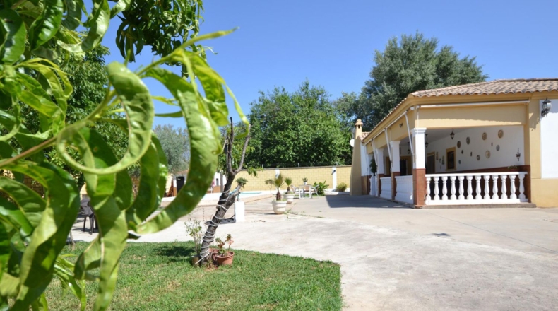 Кордова - Encinarejo de Córdoba - 1198m2