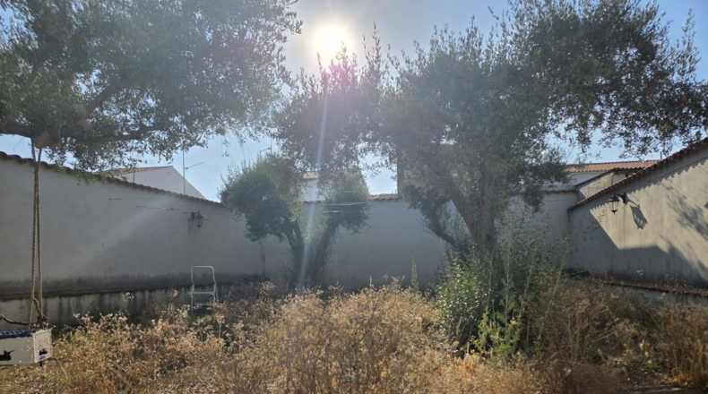 Badajoz - Azuaga - 392m2