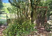 Terreno no urbanizable en venta en Santoña ref: TR413674 foto