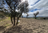 Sòl urbà en venda a la España, Alhendín, ref.: TR413791 foto