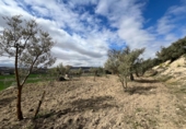 Sòl urbà en venda a la España, Alhendín, ref.: TR413791 foto