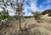 Sòl urbà en venda a la España, Alhendín, ref.: TR413791 foto