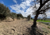 Sòl urbà en venda a la España, Alhendín, ref.: TR413791 foto