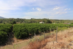 Alborache 17000&nbsp;м²