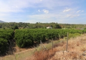 Non-developable land for sale on España, Alborache, ref: TR413698 photo
