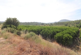 Alborache 17000&nbsp;м²