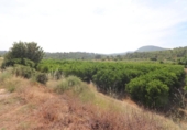 Non-developable land for sale on España, Alborache, ref: TR413698 photo