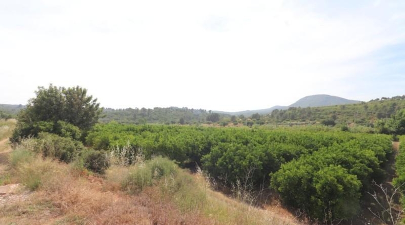 Valencia - Alborache - 17000m2