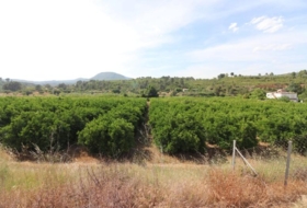 Alborache 17000&nbsp;м²