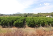 Non-developable land for sale on España, Alborache, ref: TR413698 photo